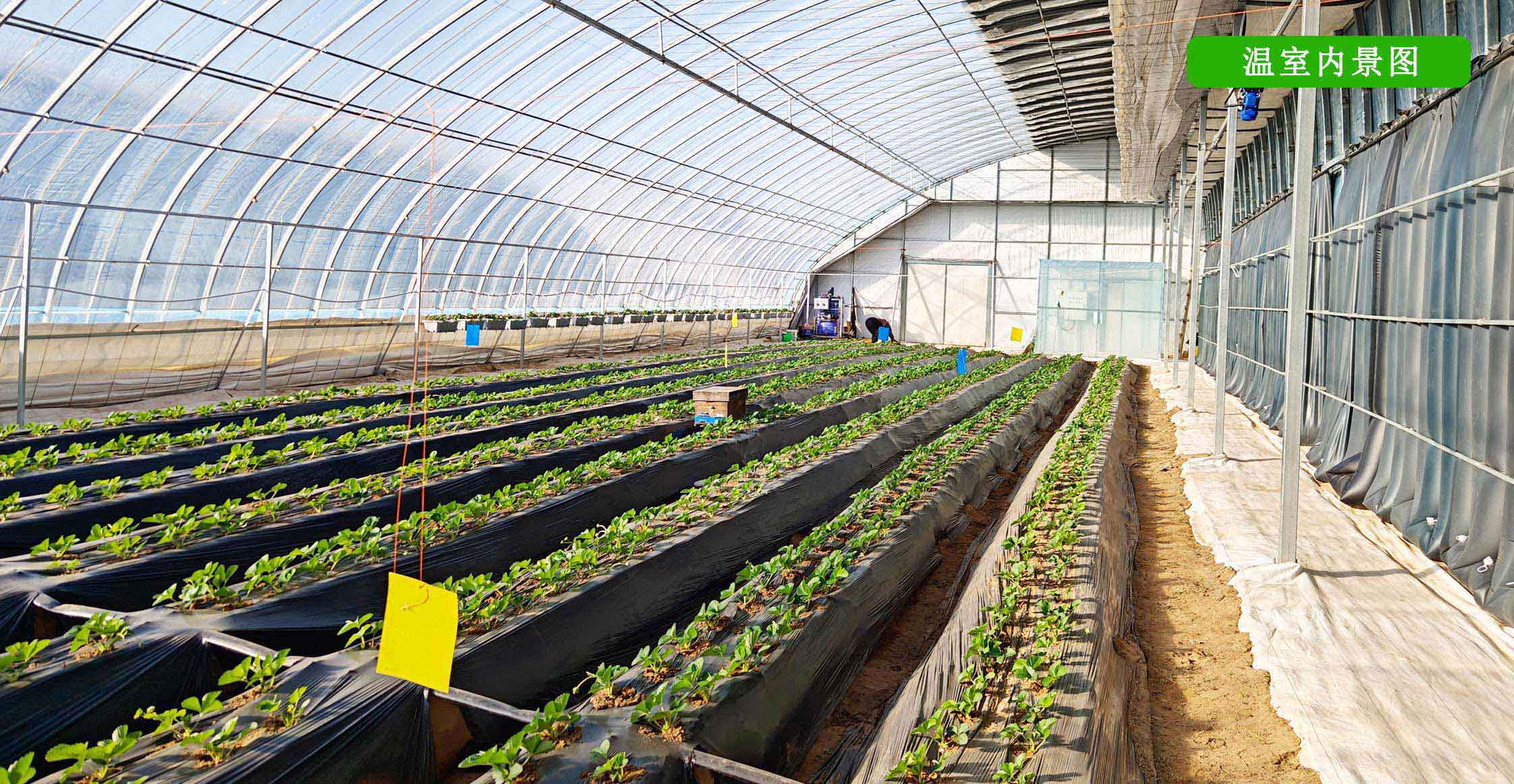 2、全天候四季溫室網(wǎng)頁_12.jpg 2、全天候四季溫室網(wǎng)頁_12.jpg