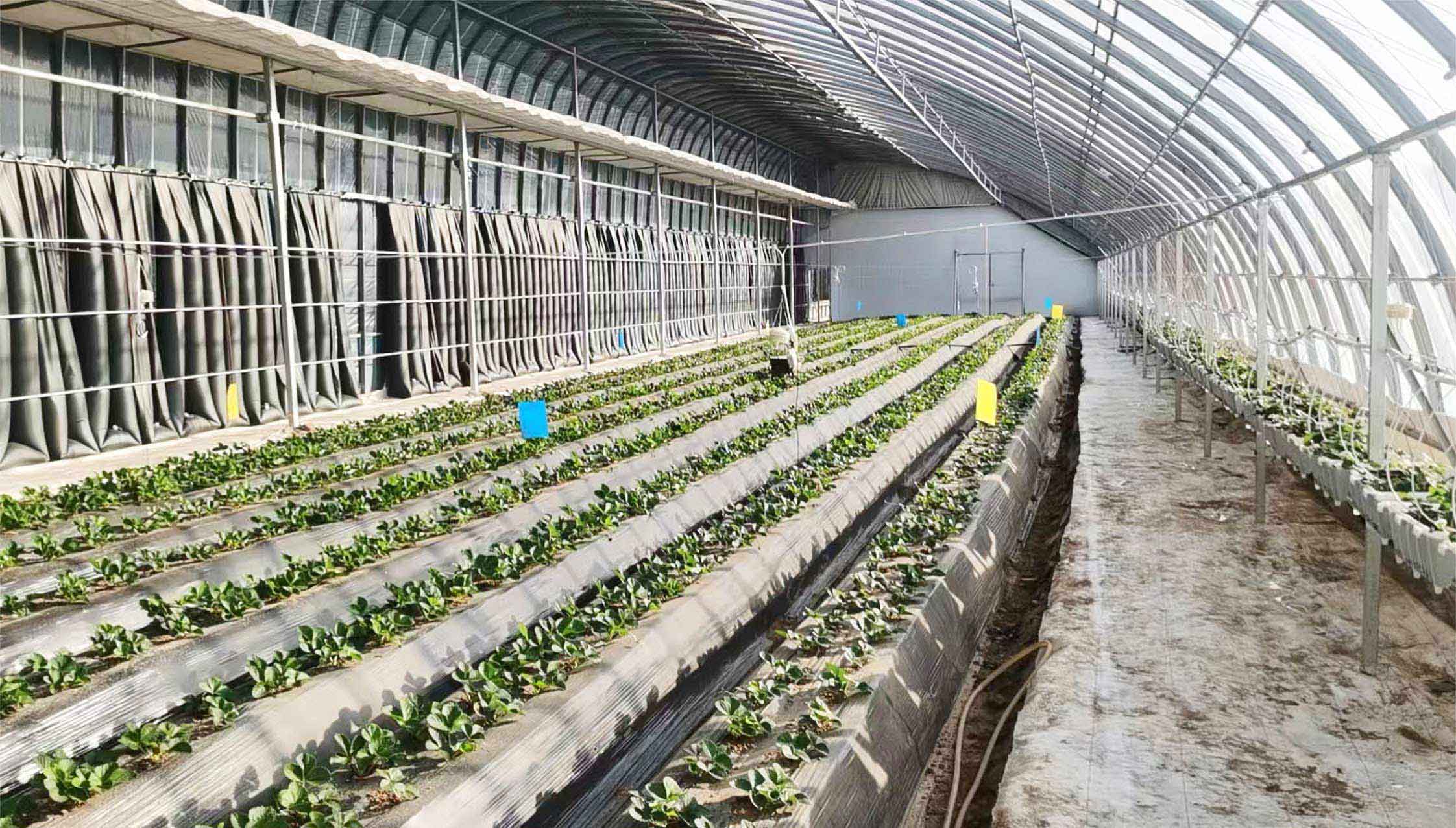 2、全天候四季溫室網(wǎng)頁_13.jpg 2、全天候四季溫室網(wǎng)頁_13.jpg