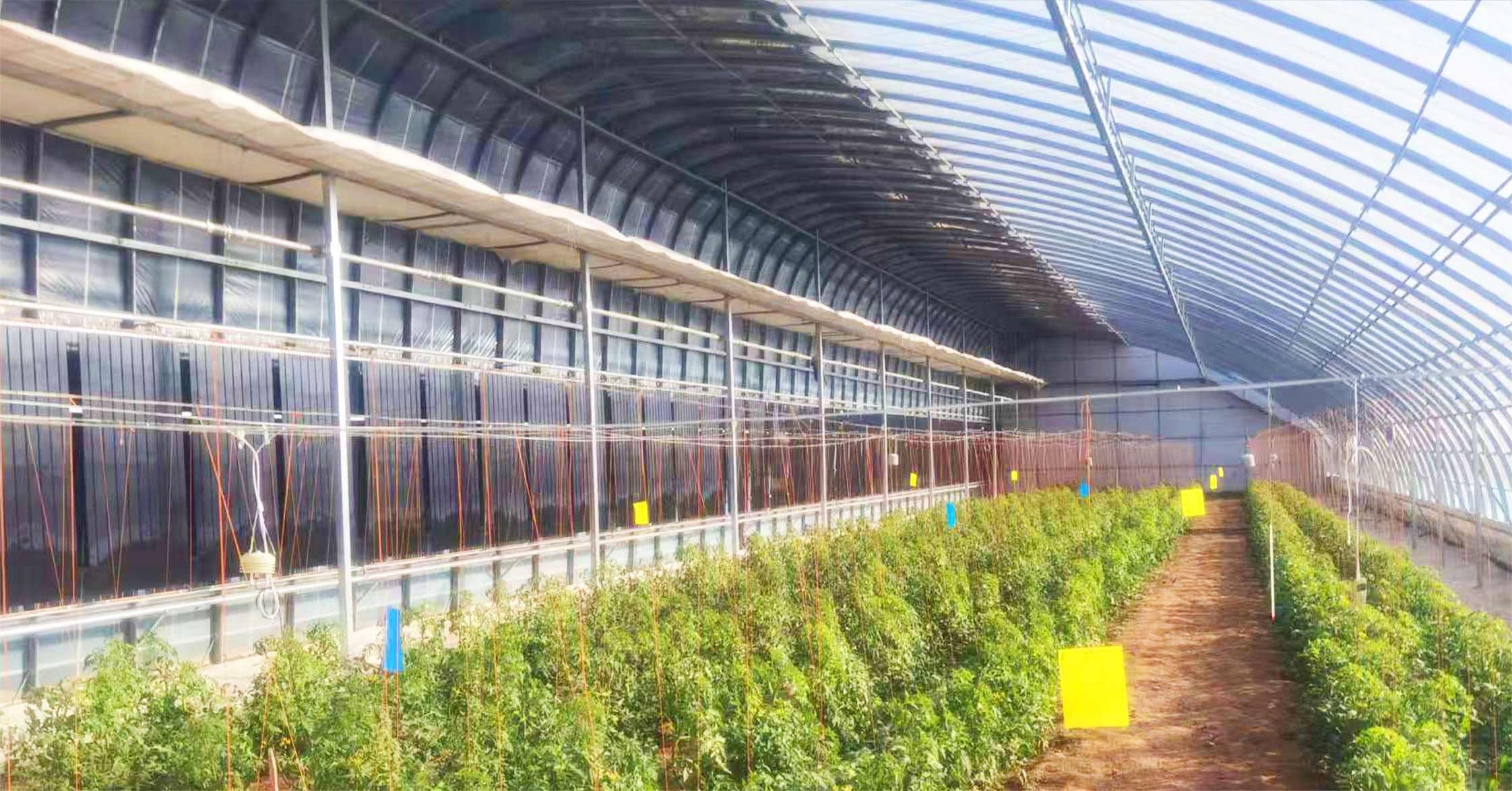 2、全天候四季溫室網(wǎng)頁_15.jpg 2、全天候四季溫室網(wǎng)頁_15.jpg